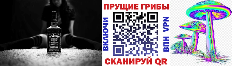 наркотики  Боровичи  Галлюциногенные грибы Magic Shrooms 